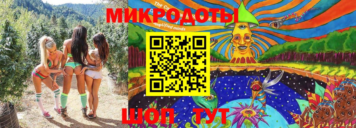 Псилоцибиновые грибы Psilocybine cubensis Тихвин