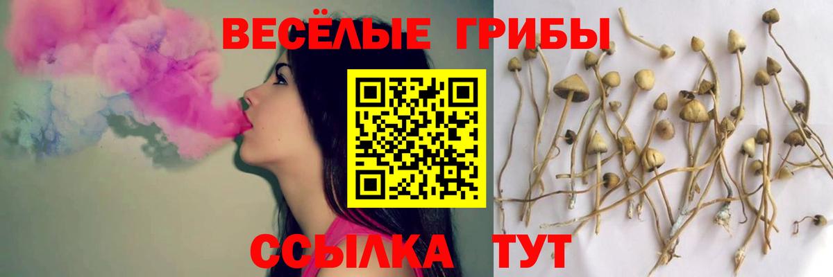 Тихвин  Псилоцибиновые грибы Magic Shrooms  Вход с VPN 